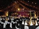 Birthday Styled Marquees