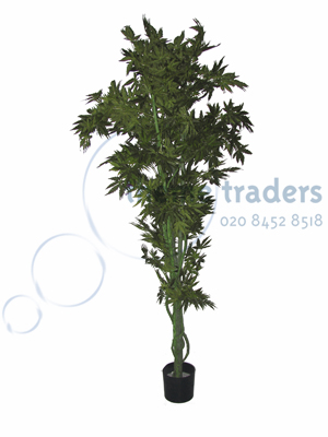 Green acer tree Props, Prop Hire