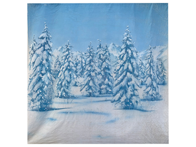 Winter Forest Backdrop Props, Prop Hire