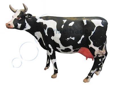 Cow Statue Horns Props, Prop Hire