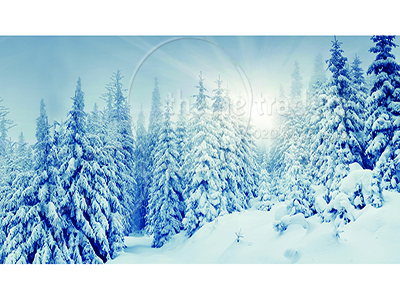 Winter Alpine Backdrop Props, Prop Hire