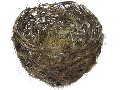 Birds Nests Props, Prop Hire