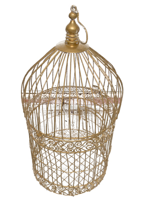 Gold Birdcage Props, Prop Hire