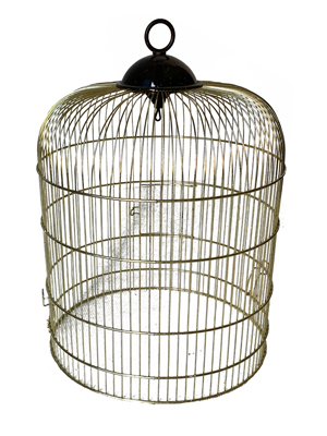 Gold Parrot Cages Props, Prop Hire