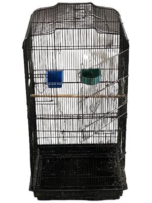 Parrot Birdcage 1 Metre Props, Prop Hire