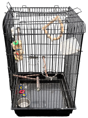 Birdcage Props, Prop Hire