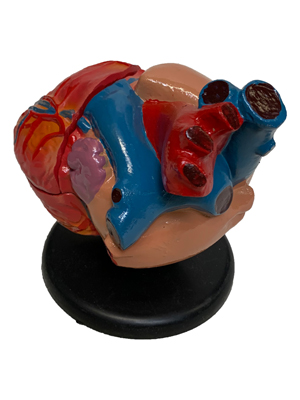 Heart Props, Prop Hire