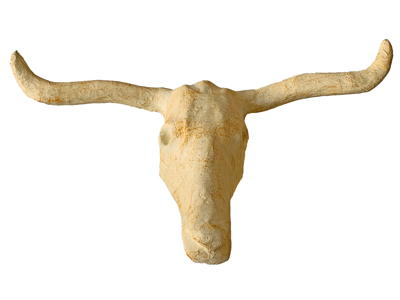 Bull Skull Long Horn Props, Prop Hire