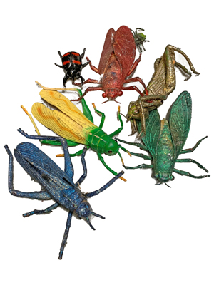 Bugs and Insects Props, Prop Hire