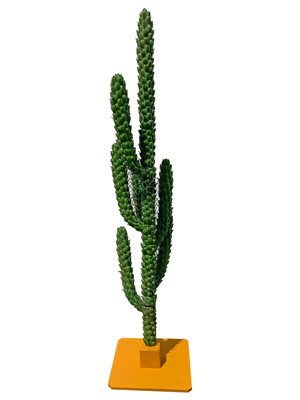 Realistic Cactus Props, Prop Hire