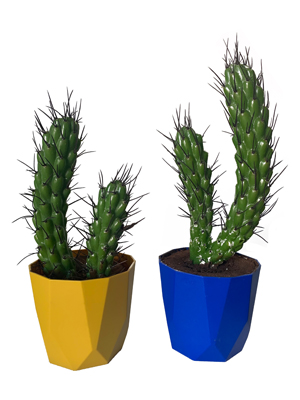 Funky Table Cactus Props, Prop Hire