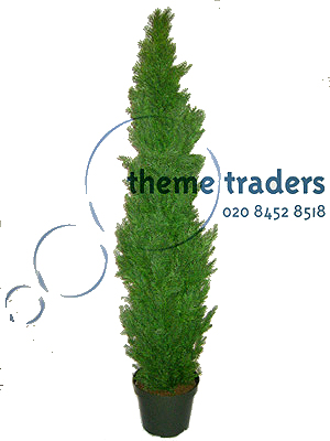 Cedar Trees Props, Prop Hire