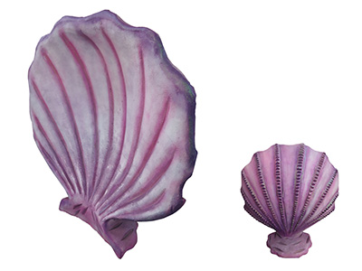 Clam Shells Props, Prop Hire