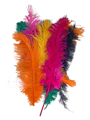 Feathers Ostrich Props, Prop Hire