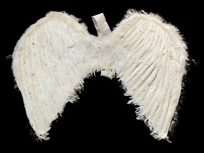 White Feather Wings Props, Prop Hire