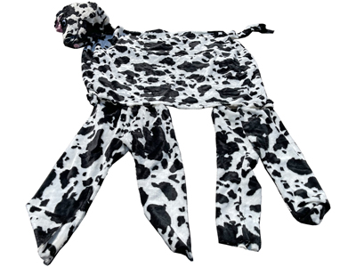 2 Person Cow Costume Props, Prop Hire