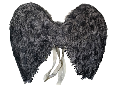 Grey Feather Wings Props, Prop Hire