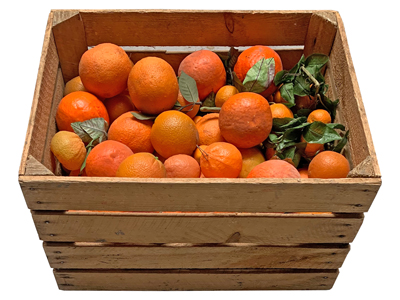 Wooden Crate Oranges Props, Prop Hire