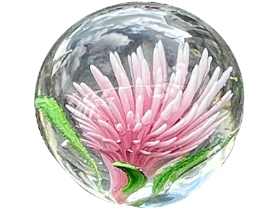 Anemone Glass Paper Weight Props, Prop Hire