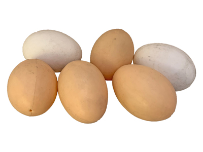 Realistic Eggs Props, Prop Hire