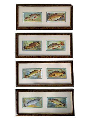 Framed Angling Fish Prints Props, Prop Hire