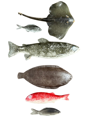 Replica Realistic Fish Props, Prop Hire