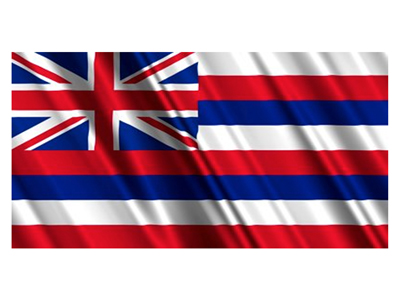 Hawaii American State Flag Props, Prop Hire