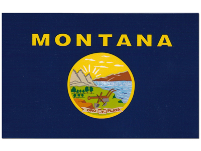 Montana American State Flag Props, Prop Hire