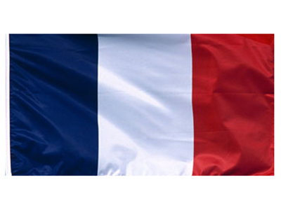 Stitched French 2.8 Metre Flag Props, Prop Hire