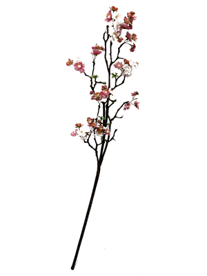 Blossom Stems Props, Prop Hire