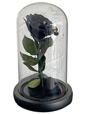 Black Rose Bell Jar Props, Prop Hire