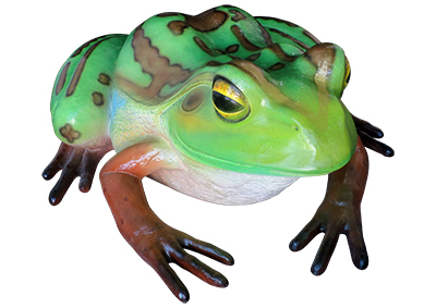 Frog Statue Props, Prop Hire