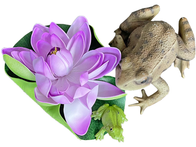 Frogs and Lillies Props, Prop Hire