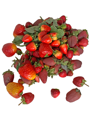 Strawberries Props, Prop Hire