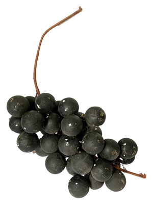 Bunch of Grapes Props, Prop Hire