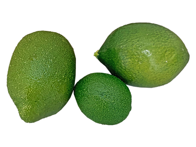 Lemons and Limes Props, Prop Hire