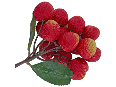 Lychees Bunches Props, Prop Hire