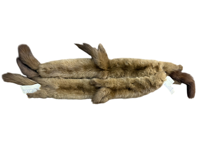 Double Fox Stole Pelt Props, Prop Hire