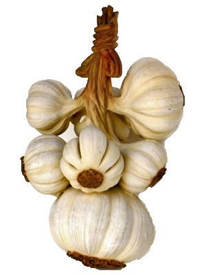 Giant Garlic Bunchs Props, Prop Hire