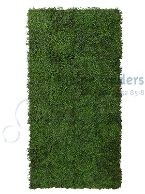 Box Hedge Panels Props, Prop Hire