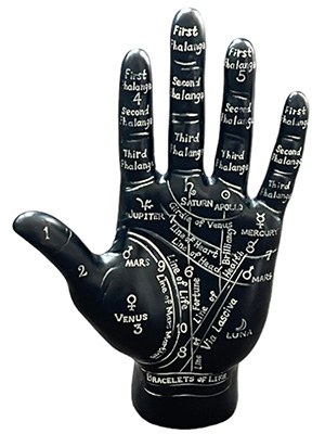 Palmistry Hand Props, Prop Hire