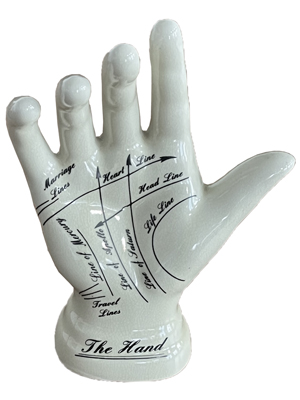 Medical Phrenology Scientific Hand Props, Prop Hire