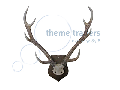 Wall Mounted Antlers Props, Prop Hire