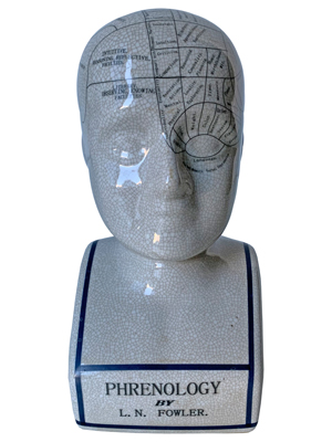 Phrenology Head Props, Prop Hire