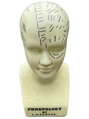 Desktop Phrenology Head Props, Prop Hire