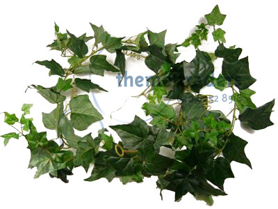 Ivy Garlands Props, Prop Hire