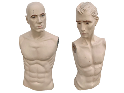 Torso Mannequin Male Props, Prop Hire