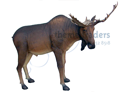 Moose Statues Props, Prop Hire