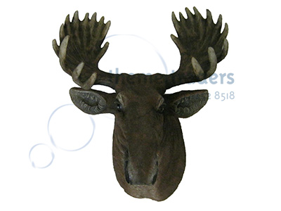 Moose Head Statue Props, Prop Hire