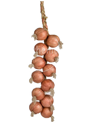 String Onions Props, Prop Hire